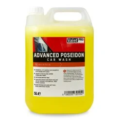 Valet-Pro Advanced Poseidon Car Wash